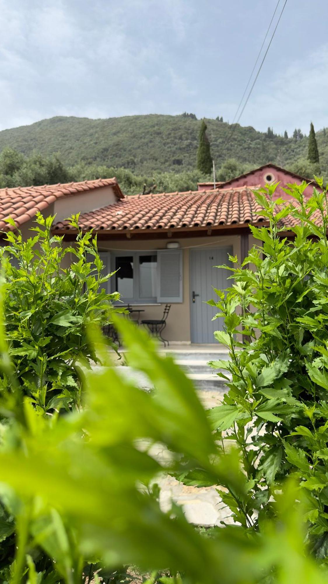 Appartamento Olga's Sea View - 500m From Ipsos